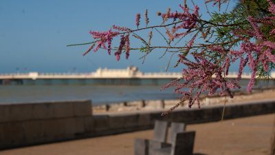 The History of Worthing