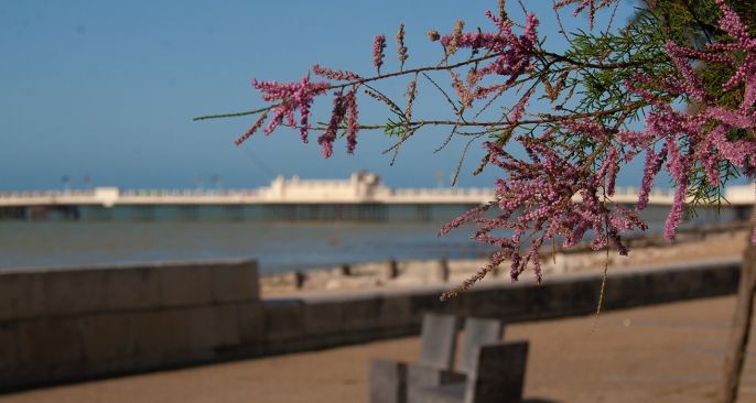 The History of Worthing